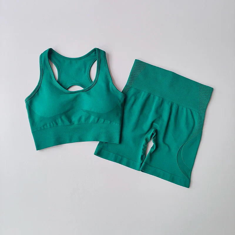 Adele Sport Set - 2 PCS Women Seamless Yoga Set