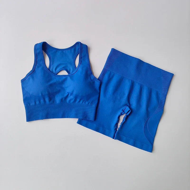 Adele Sport Set - 2 PCS Women Seamless Yoga Set