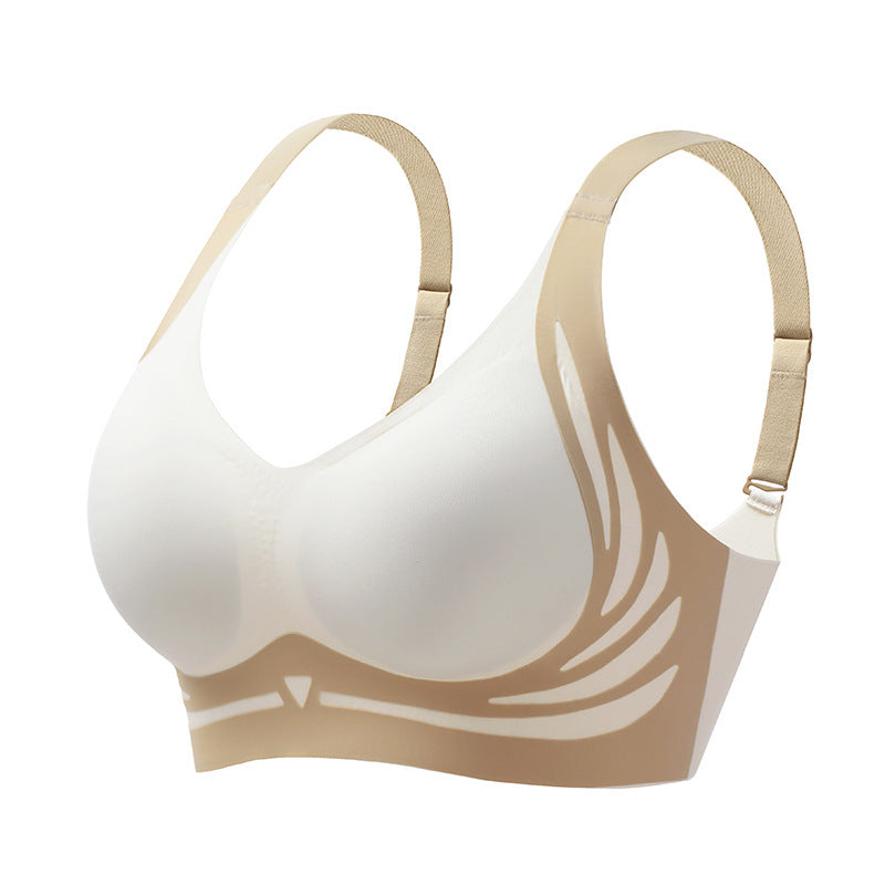 Jaimy Softlift Bra